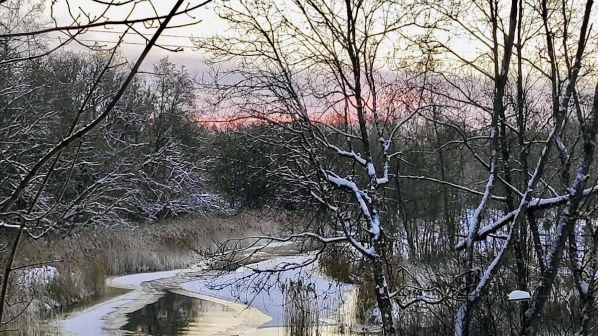 Joeaeaere Puhkekeskus Villa Langa Dış mekan fotoğraf